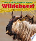 Wildebeest cover