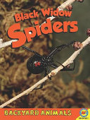 Black Widow Spiders cover