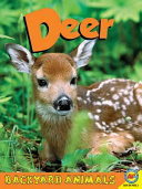Deer (Weigl) cover