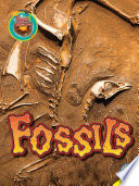 Fossils (Science Matters: Earth Science) cover