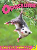 Opossums cover
