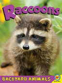 Raccoons cover