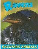 Ravens cover