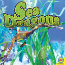 Sea Dragons cover