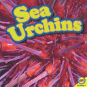 Sea Urchins cover