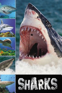 Sharks cover