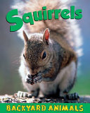 Squirrels cover