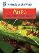 Ants and Other Social Insects cover