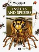 Insects and Spiders cover