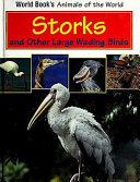 Storks and Other Large Wading Birds cover