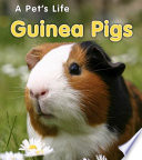 Guinea Pigs cover
