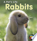 Rabbits cover