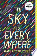 The Sky Is Everywhere cover