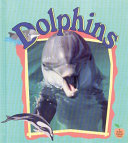 Dolphins cover