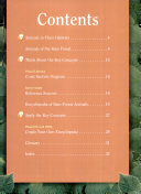 Rain Forest Animals cover