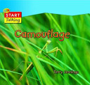 Camouflage cover