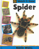 Spider cover