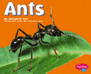 Ants cover