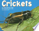 Crickets cover