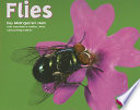 Flies cover