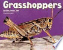 Grasshoppers cover