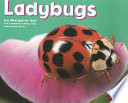 Ladybugs cover