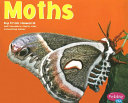 Moths cover