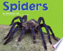 Spiders cover