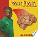 Your Brain cover