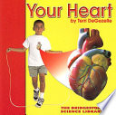 Your Heart cover