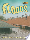 Floods cover
