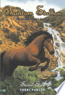 Secret Star cover