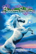 Snowfire cover