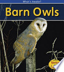 Barn Owls cover