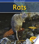 Rats cover