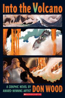 Into the Volcano cover