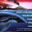 How Whales Walked into the Sea cover