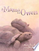 A Mummy for Owen cover