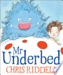 Mr Underbed cover