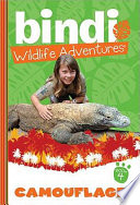 Camouflage cover