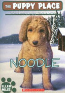 Noodle cover