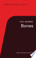 Your Bones: An Inside Look at Skeletons cover