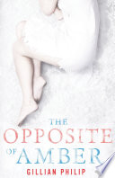 The Opposite of Amber cover