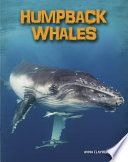 Humpback Whales cover