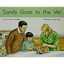 Sandy Goes to the Vet cover