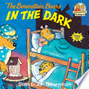 The Berenstain Bears in the Dark cover