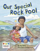 Our Special Rock Pool cover