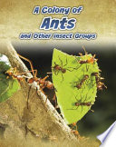 A Colony of Ants and Other Insect Groups cover