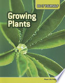 Plants cover