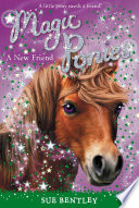 A New Friend cover